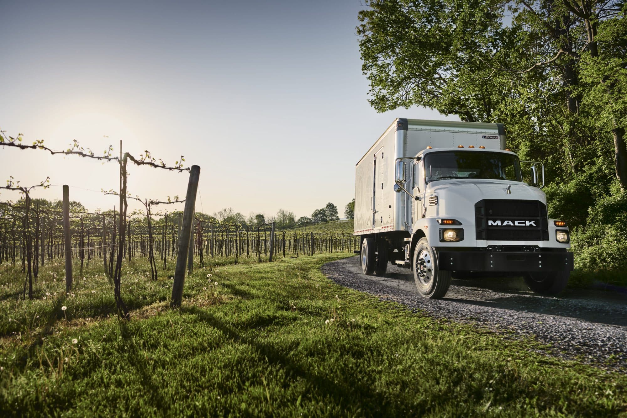 Your Top Medium-Duty Questions Answered